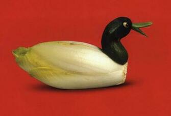 Funny Amazing And Most Interesting Fruit Wallpaper