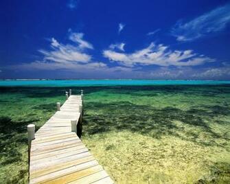 Paradise Wallpaper Art Print Poster Tropical