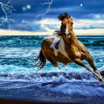 Source Url Live Wallpaper Net iPad Item Beach Horse