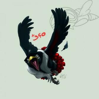 HD Honchkrow Wallpaper And Photos Cartoons