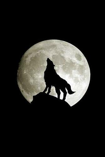 Abstract Wallpaper Wolf Full Moon With Size Pixels For iPhone