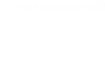 White Solid Color Background And The Below