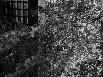 Black And White Camouflage Wallpaper Weekend In