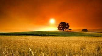 HD Summer Sunset Desktop Wallpaper