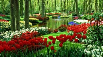 Flower Garden