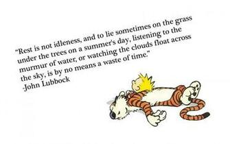 Calvin And Hobbes Wallpaper Hq