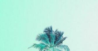 Mint Green Palm Tree iPhone Wallpaper Phone Background Lock Screen