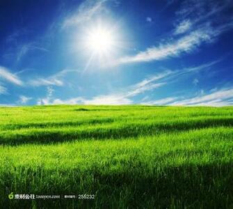 Xp Bliss Wallpaper High Definition