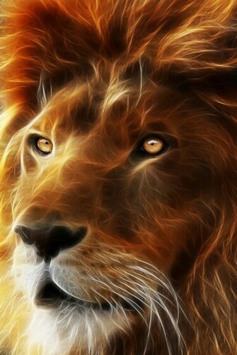 HD 3d Lion King Wallpaper For iPhone
