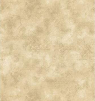 Brewster Beige Script Score Texture Wallpaper Contemporary