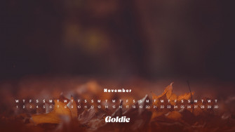 November Wallpaper Calendars Desktop Mobile