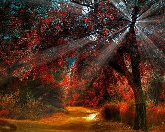 Desktop Nature Wallpaper