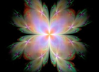 Pretty Butterfly Wallpaper