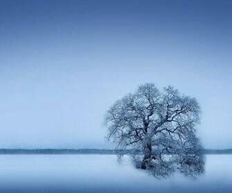 Mobile Wallpaper Winter Season For T Autumn And