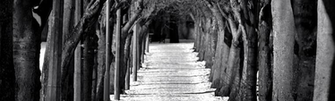 Linkedin Background Image In Collection