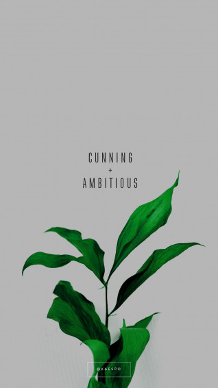 Green Plant Aesthetic Wallpaper On