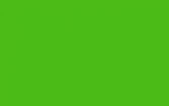 Kelly Green Solid Color Background