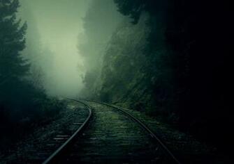 Ukraine Bravery Is In Hope Dark Wallpaper Nature