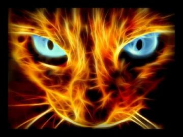 Awesome Cat Club Of Awesomeness