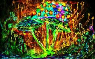 Grow Magic Mushrooms From