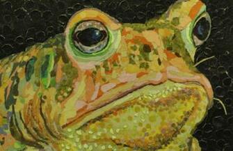 Never Knew Toads Had Whiskers