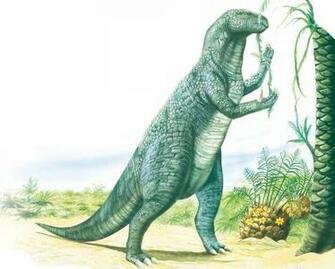 Scientists Believe They Ve Found The First Ever Fossilized Piece
