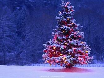 Christmas Tree Desktop Wallpaper Dope