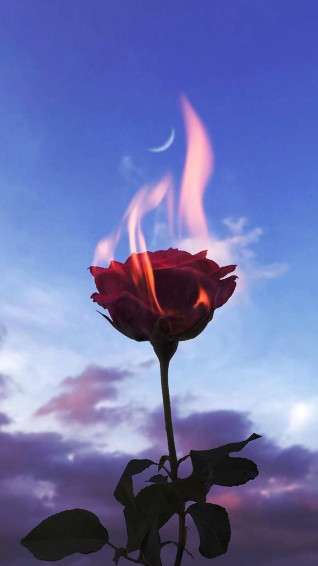 Tiktok Aesthetic Wallpaper