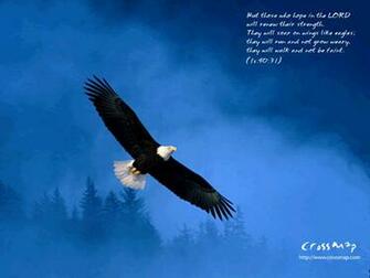 Those Who Hope In The Lord Wallpaper Christian And