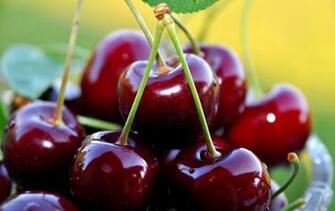 Beautiful Wallpaper Fruits