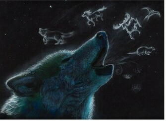White Wolf Anime Wallpaper Wolve