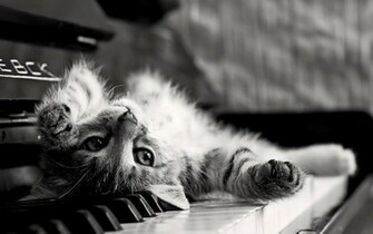 Piano Background Wallpaper High Definition Quality