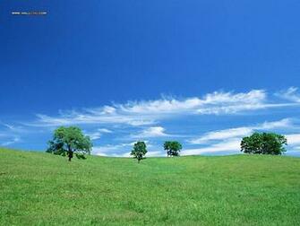 Beautiful Country Farm Scene Photography Perfect Wallpaper
