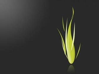 Grey And Green Wallpaper HD Wide
