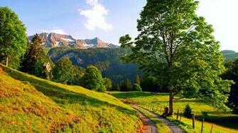 Summer Landscape Mountains Road Trees Wallpaper Widescreen