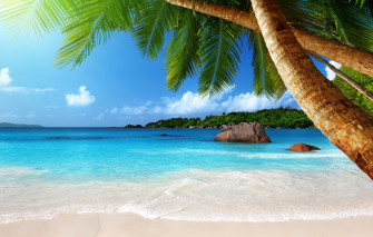Wallpaper Sand Sea Beach The Sun Tropics Palm Trees