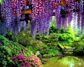 Pin Wisteria Lane Wallpaper