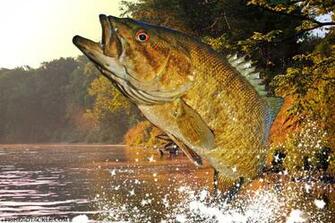 Smallmouth Bass Wallpaper Rock River