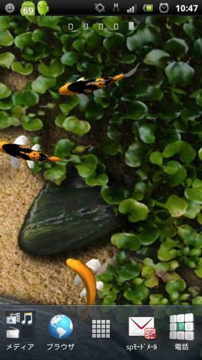 Koi Live Wallpaper