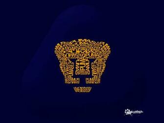 Vive El Futbol Pumas Unam