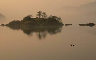 Foggy Lake Wallpaper Nature