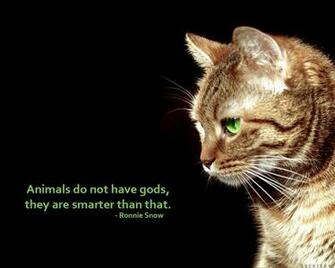 Cats Black Animals Quotes Feline Motivation Wallpaper