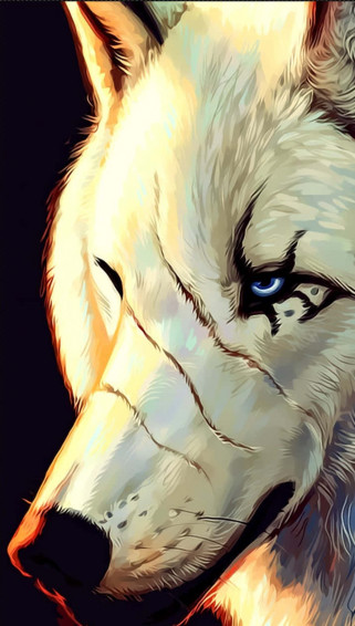 Wolf iPhone Wallpaper