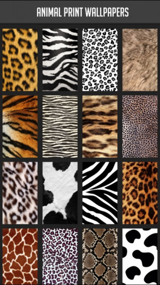 Animal Print Wallpaper By Atlas Labs