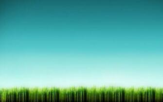 Tag Tall Grass Wallpaper Background Photos Image Andpictures