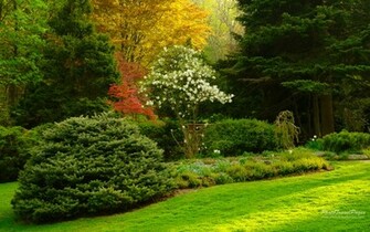 Spring Gardens Wallpaper Size