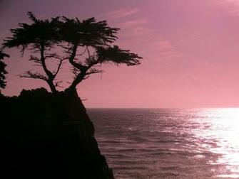 California Beach Sunset Cyprus Point Photo Wallpaper