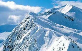 Snow Leopard Wallpaper Screensavers