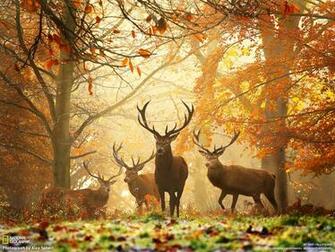 Courtesy Of National Geographic