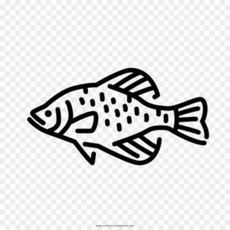 Black Line Background Png Transparent